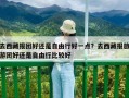 去西藏报团好还是自由行好一点？去西藏报旅游团好还是自由行比较好