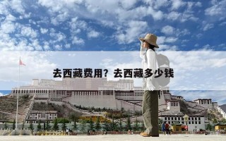 去西藏费用？去西藏多少钱