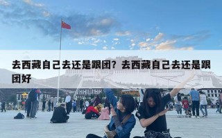 去西藏自己去还是跟团？去西藏自己去还是跟团好