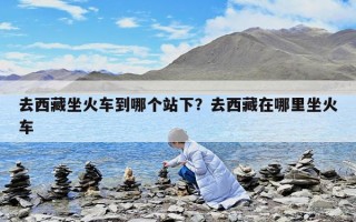 去西藏坐火车到哪个站下？去西藏在哪里坐火车