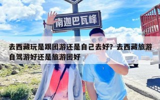 去西藏玩是跟团游还是自己去好？去西藏旅游自驾游好还是旅游团好