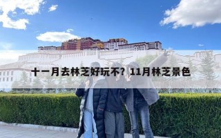 十一月去林芝好玩不？11月林芝景色
