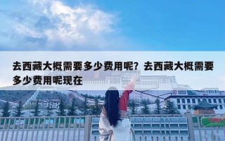去西藏大概需要多少费用呢？去西藏大概需要多少费用呢现在