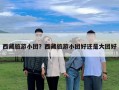 西藏旅游小团？西藏旅游小团好还是大团好