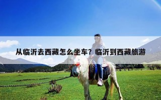 从临沂去西藏怎么坐车？临沂到西藏旅游