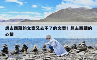 想去西藏的文案又去不了的文案？想去西藏的心情