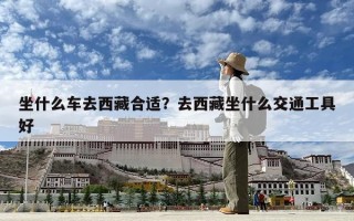 坐什么车去西藏合适？去西藏坐什么交通工具好