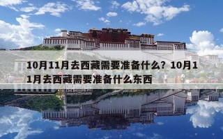 10月11月去西藏需要准备什么？10月11月去西藏需要准备什么东西