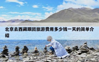 北京去西藏跟团旅游费用多少钱一天的简单介绍