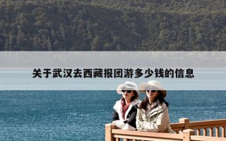 关于武汉去西藏报团游多少钱的信息