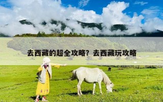 去西藏的超全攻略？去西藏玩攻略