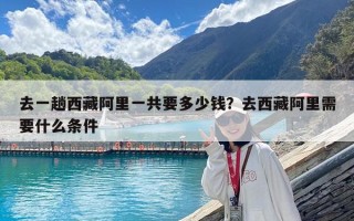 去一趟西藏阿里一共要多少钱？去西藏阿里需要什么条件