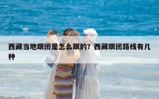 西藏当地跟团是怎么跟的？西藏跟团路线有几种