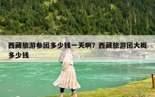西藏旅游参团多少钱一天啊？西藏旅游团大概多少钱