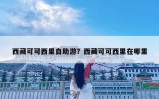 西藏可可西里自助游？西藏可可西里在哪里