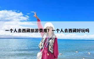 一个人去西藏旅游费用？一个人去西藏好玩吗