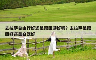 去拉萨自由行好还是跟团游好呢？去拉萨是跟团好还是自驾好