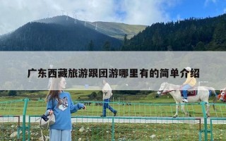 广东西藏旅游跟团游哪里有的简单介绍