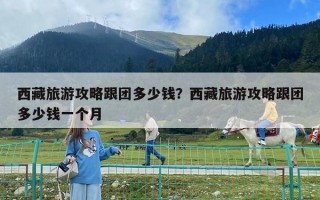 西藏旅游攻略跟团多少钱？西藏旅游攻略跟团多少钱一个月