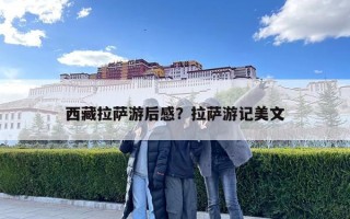 西藏拉萨游后感？拉萨游记美文