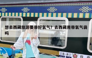想去西藏旅游要带好氧气？去西藏用带氧气袋吗