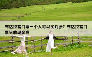 布达拉宫门票一个人可以买几张？布达拉宫门票只收现金吗