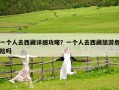 一个人去西藏详细攻略？一个人去西藏旅游危险吗