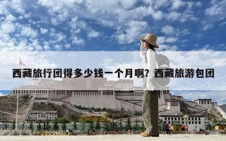 西藏旅行团得多少钱一个月啊？西藏旅游包团