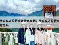 坐火车去拉萨准备什么东西？坐火车去拉萨有意思吗