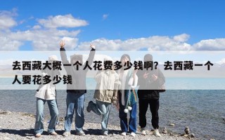 去西藏大概一个人花费多少钱啊？去西藏一个人要花多少钱