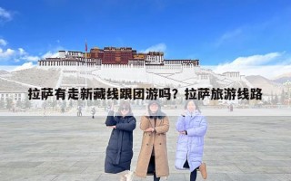 拉萨有走新藏线跟团游吗？拉萨旅游线路