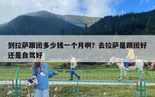 到拉萨跟团多少钱一个月啊？去拉萨是跟团好还是自驾好