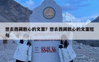 想去西藏散心的文案？想去西藏散心的文案短句