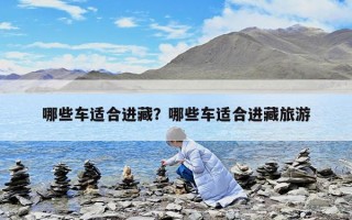 哪些车适合进藏？哪些车适合进藏旅游