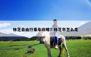 林芝自由行乘车攻略？林芝市怎么走
