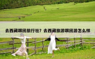 去西藏跟团旅行社？去西藏旅游跟团游怎么样