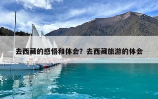 去西藏的感悟和体会？去西藏旅游的体会