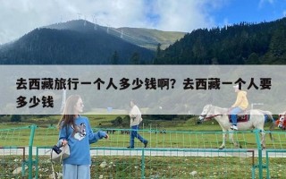 去西藏旅行一个人多少钱啊？去西藏一个人要多少钱
