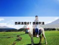 西藏温度计？西藏积温