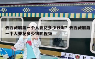 去西藏旅游一个人要花多少钱呢？去西藏旅游一个人要花多少钱呢视频