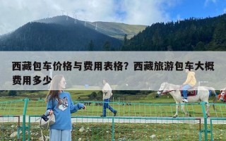 西藏包车价格与费用表格？西藏旅游包车大概费用多少