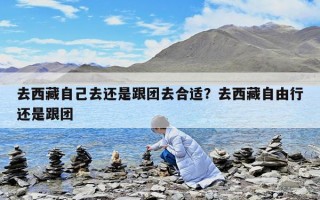 去西藏自己去还是跟团去合适？去西藏自由行还是跟团