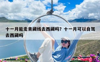 十一月能走青藏线去西藏吗？十一月可以自驾去西藏吗