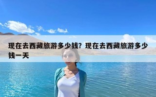 现在去西藏旅游多少钱？现在去西藏旅游多少钱一天