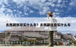 去西藏旅游买什么车？去西藏适合买什么车