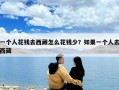 一个人花钱去西藏怎么花钱少？如果一个人去西藏