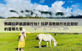 西藏拉萨旅游旅行社？拉萨当地旅行社比较好的是哪几家