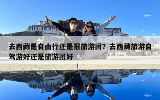 去西藏是自由行还是报旅游团？去西藏旅游自驾游好还是旅游团好