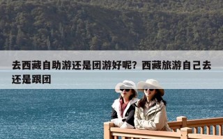 去西藏自助游还是团游好呢？西藏旅游自己去还是跟团