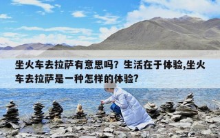坐火车去拉萨有意思吗？生活在于体验,坐火车去拉萨是一种怎样的体验?